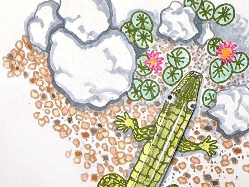 ClipCard: Packaging Reimagined