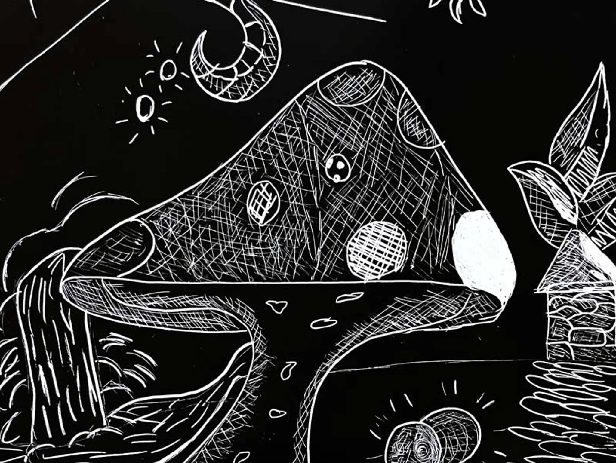 ClipCard: Nature Scratch Art