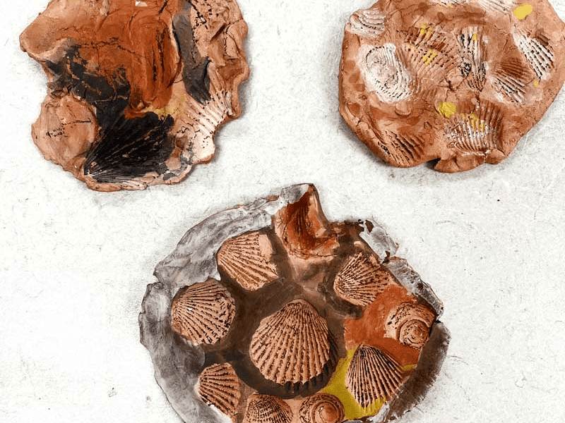 ClipCard: Clay Fossils