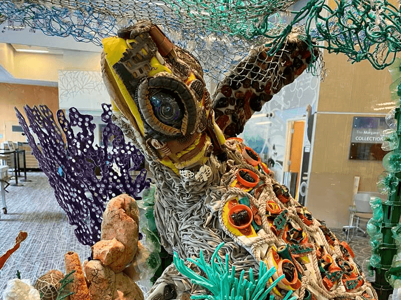 Focus In: Washed Ashore