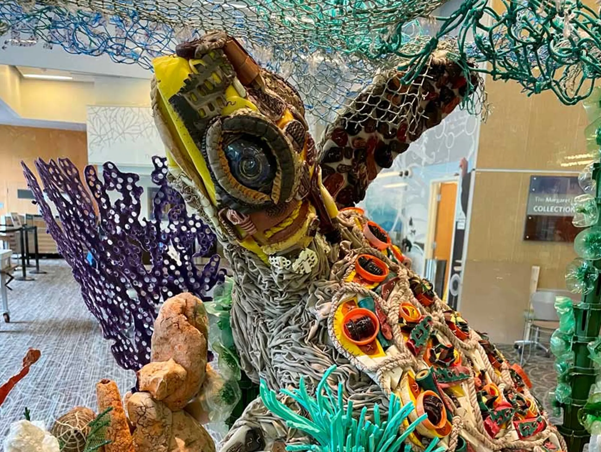 Focus In: Washed Ashore