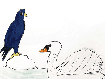 Bird by Bird