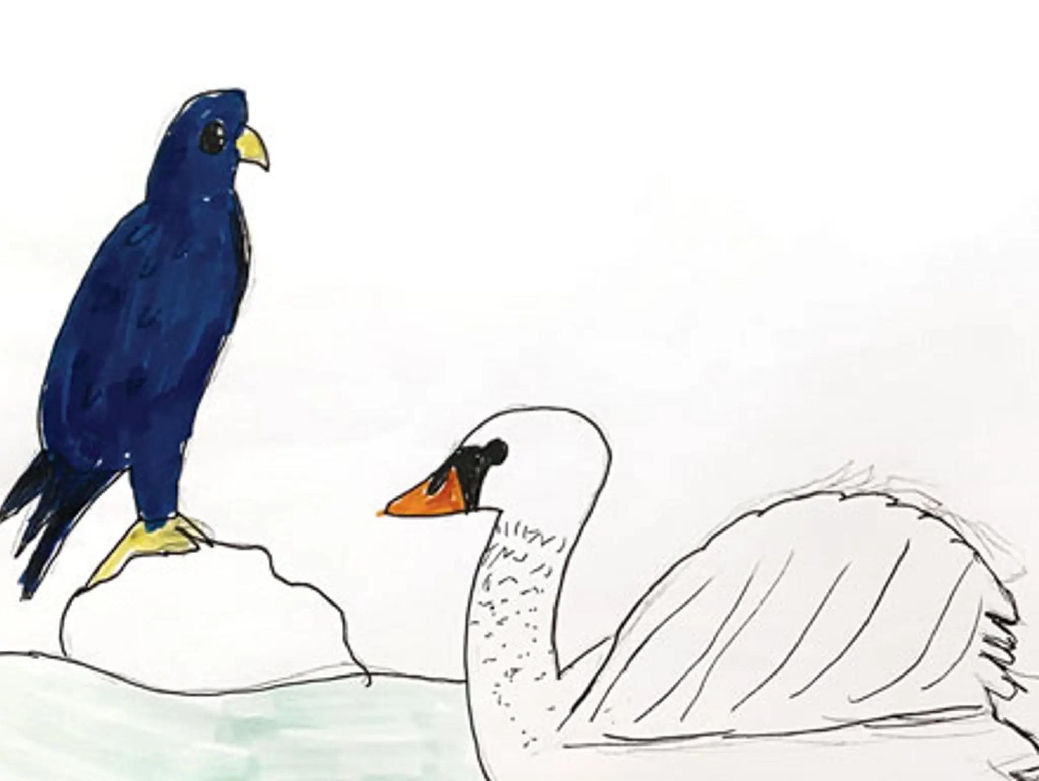 Bird by Bird