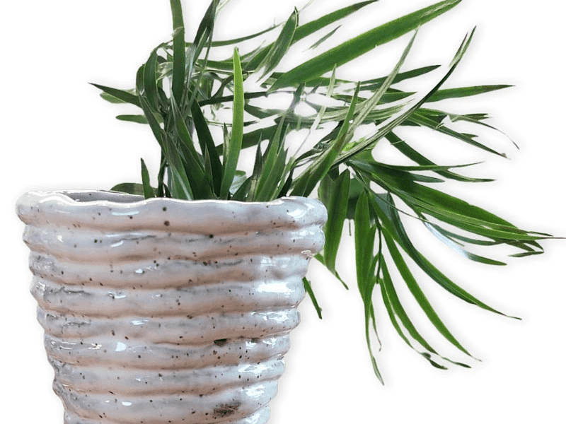 ClipCard: Coil Forms