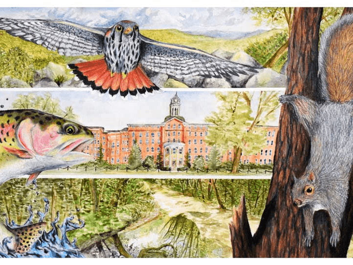 Exploring Oneself Through Artmaking