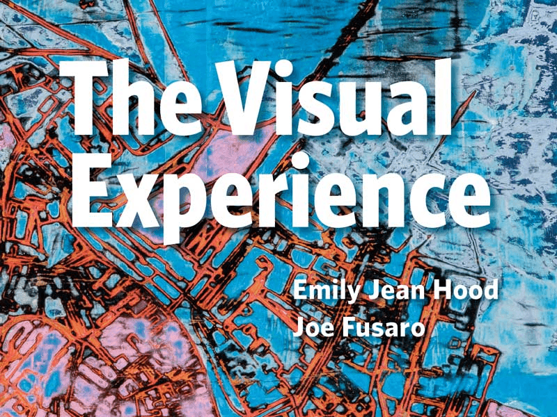 The Visual Experience by Davis