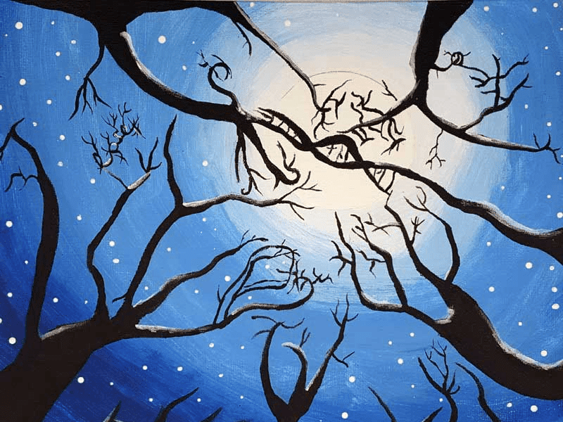 Making Connections through Personal Expression