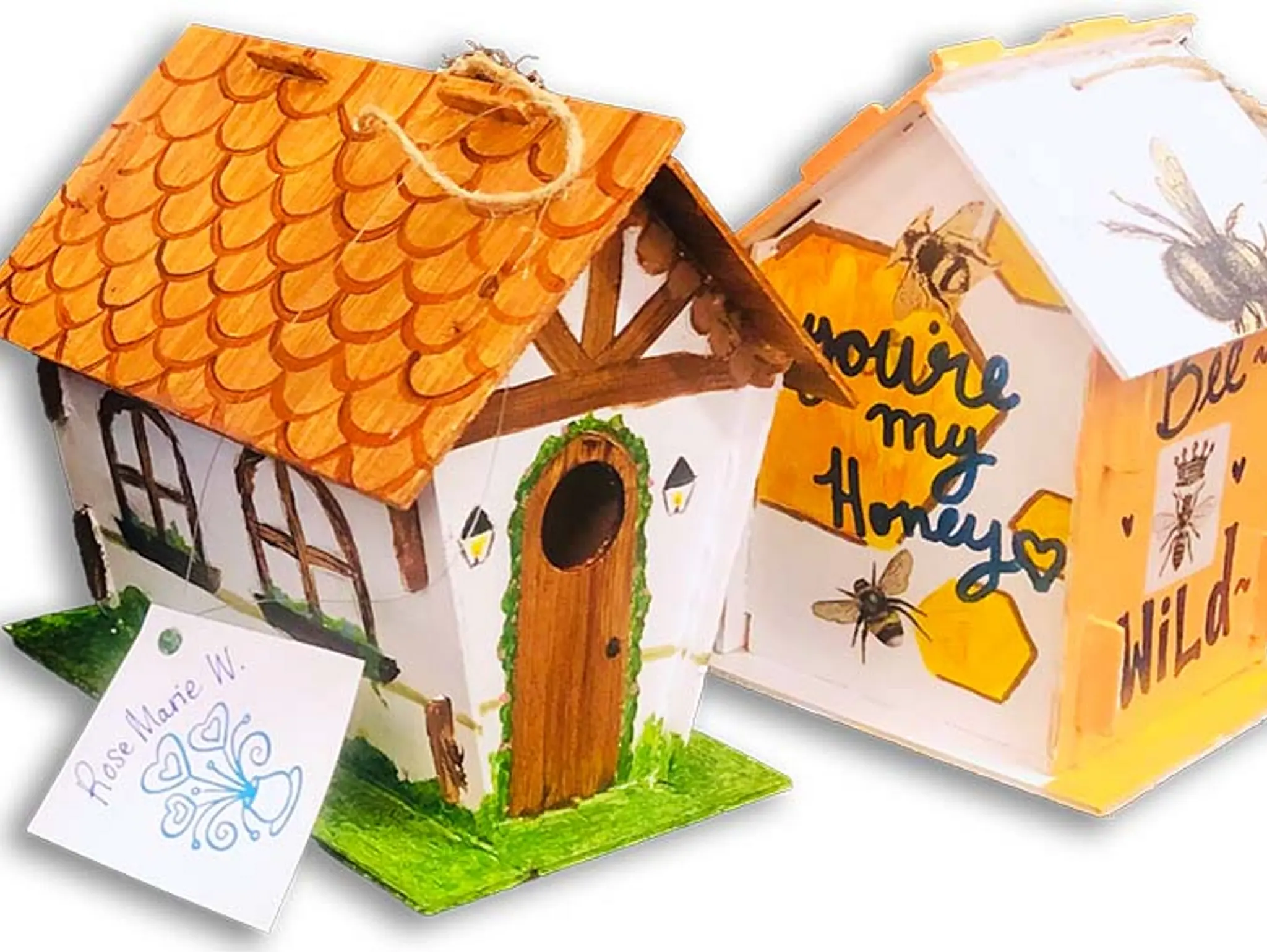 Geometry Is for the Birds