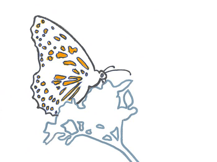 Student Activity: How to Simplify an Image 