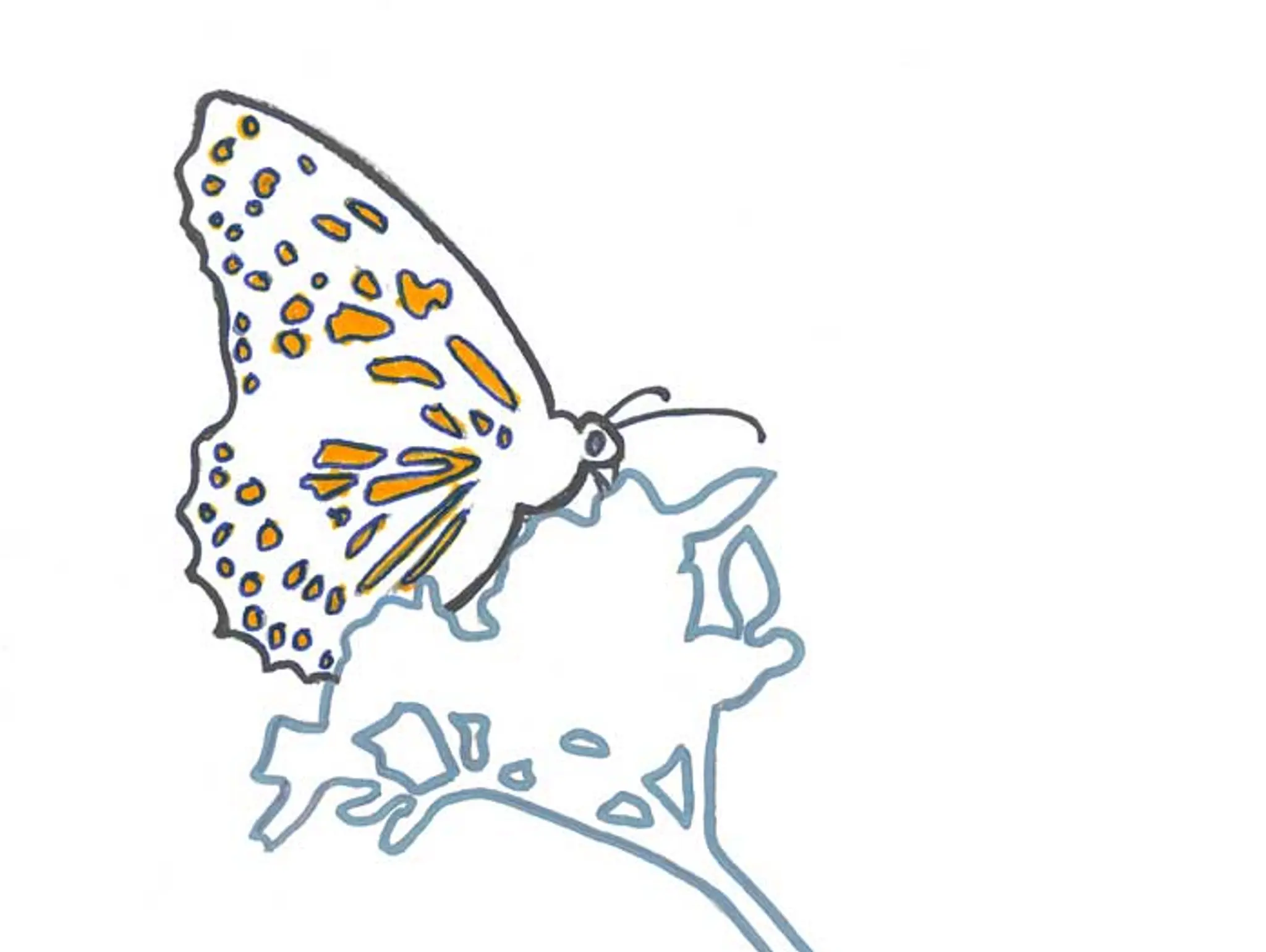 Student Activity: How to Simplify an Image