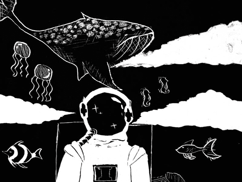 ClipCard: The World of Wonderment