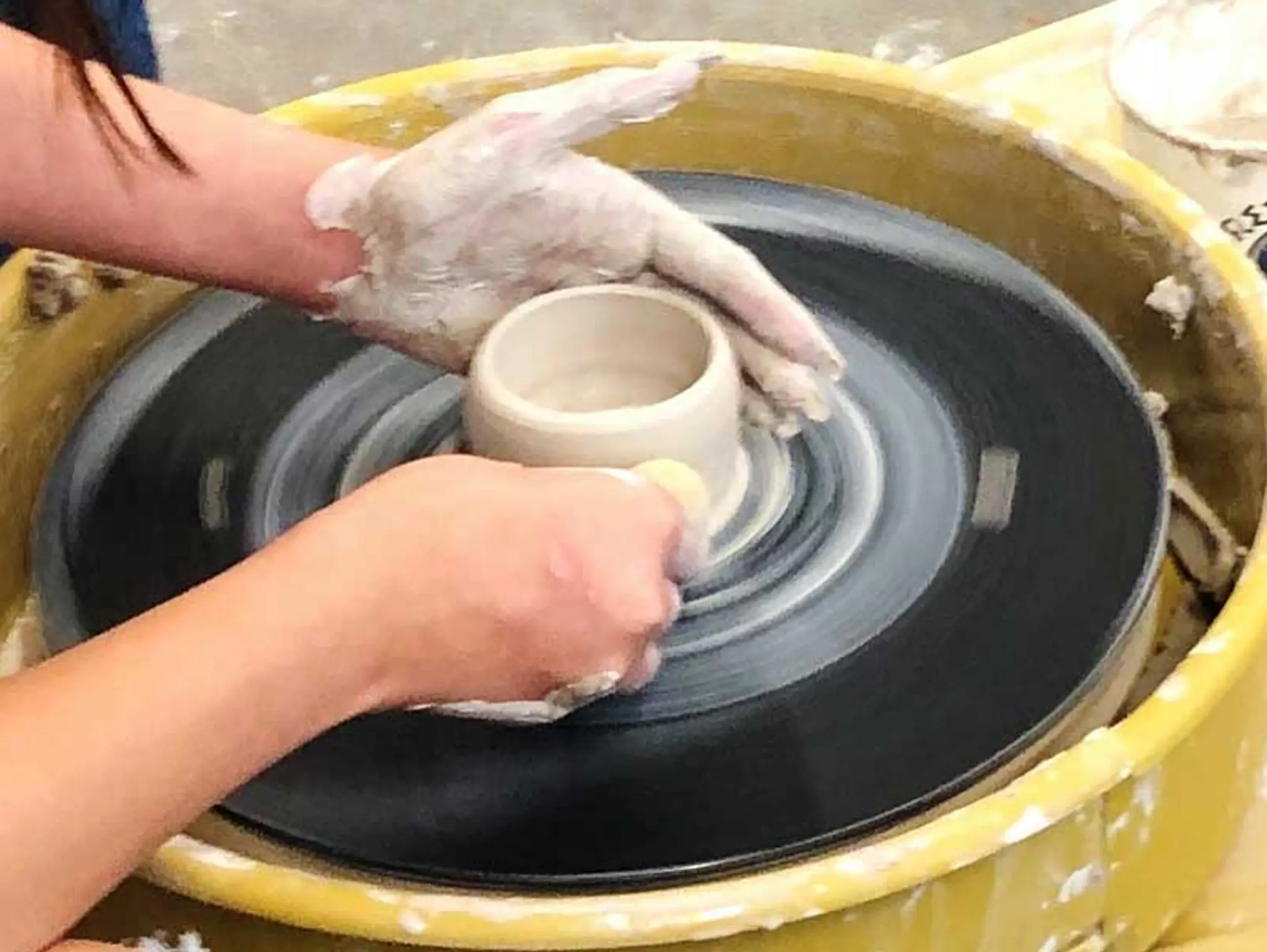 Point of View: Addressing Student Behavior through TAB