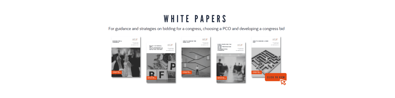 White Papers Banner