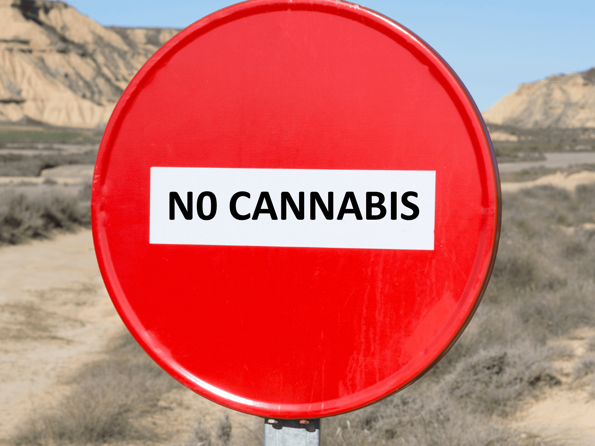 The Social Stigma and Cannabis Advocacy in South Africa