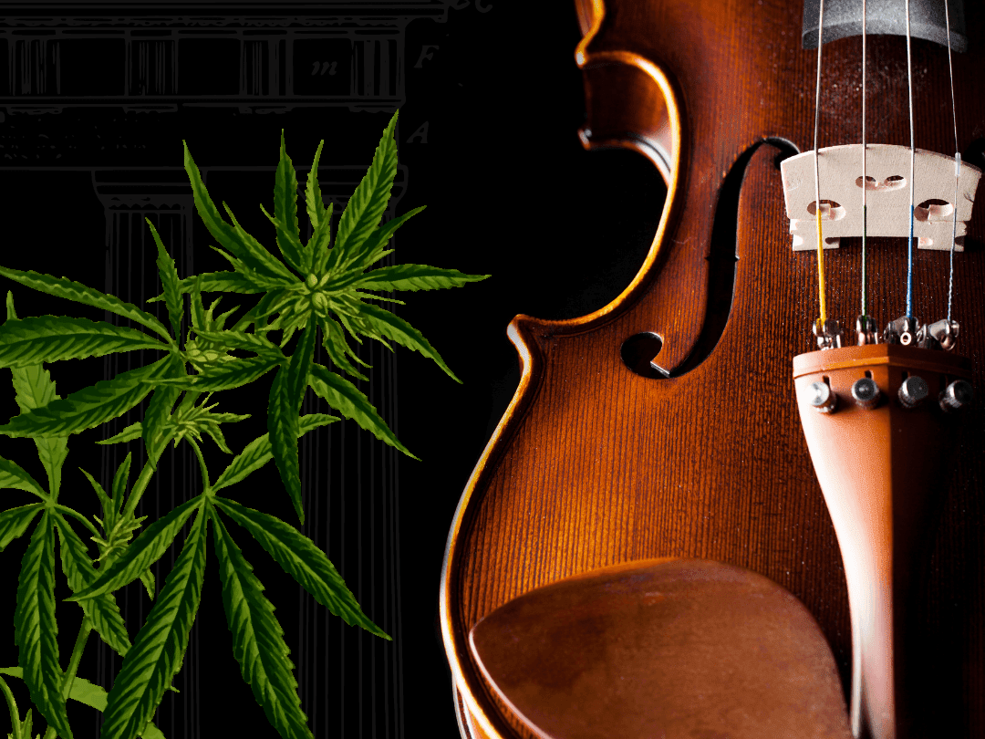 Highbrow Meets High: Cannabis in Classical Music
