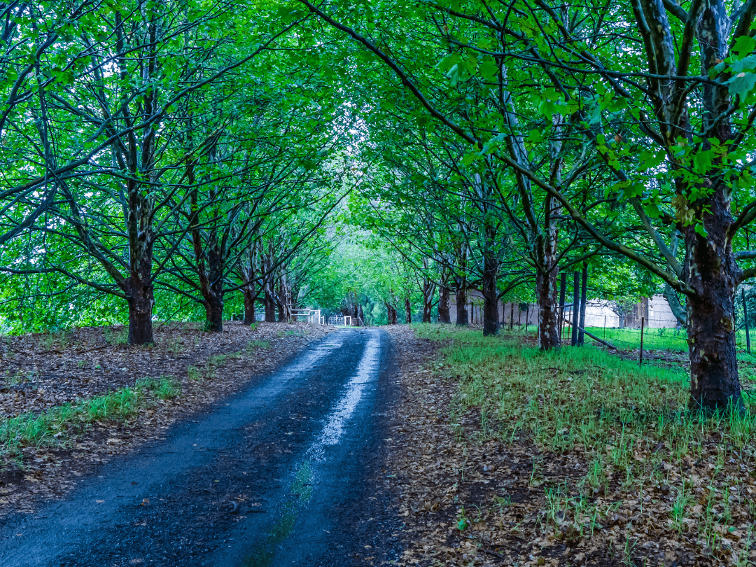 Exploring the Heartland