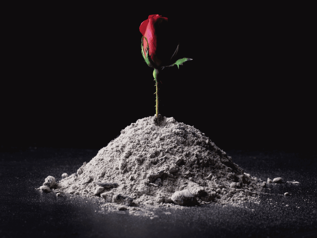 Sustainable Farewells: Creative Ways to Honour Loved Ones