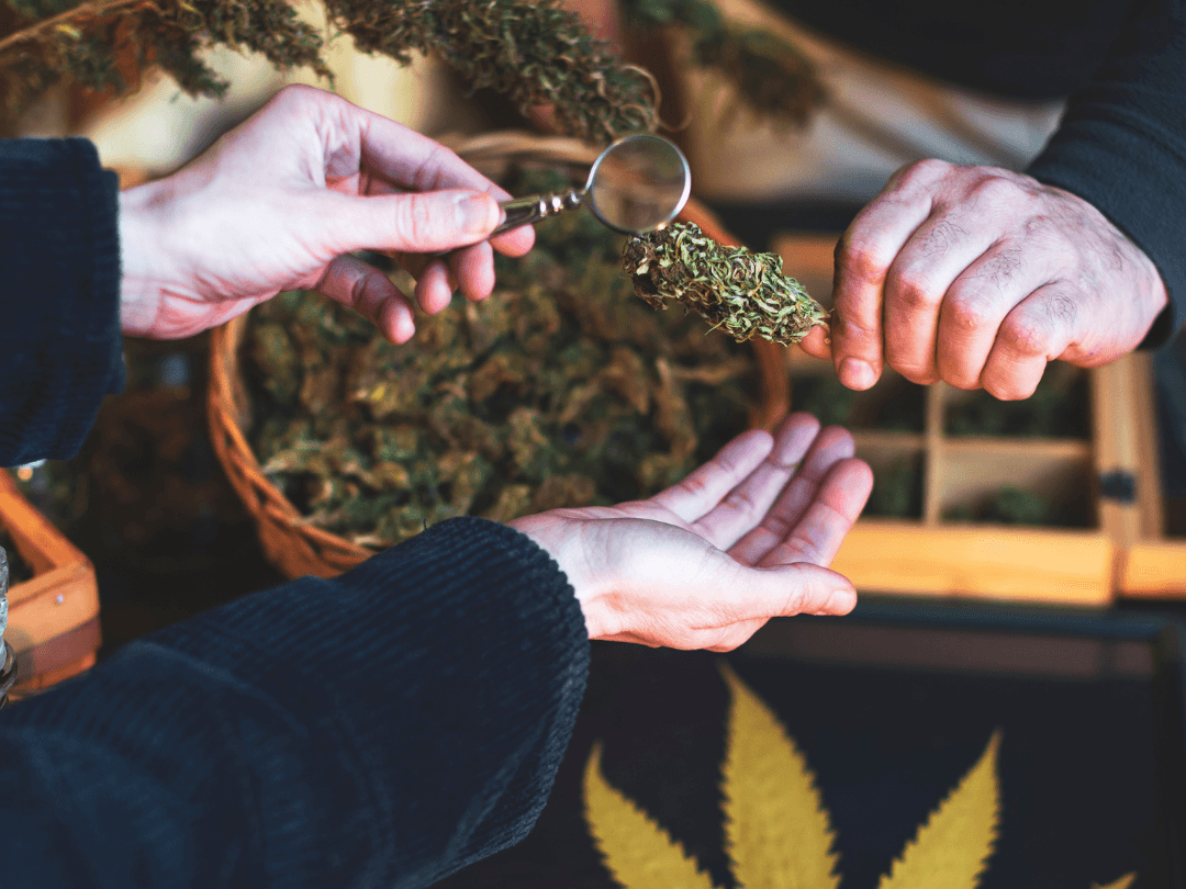Craft Cannabis: The Artisan Approach to Elevated Enjoyment