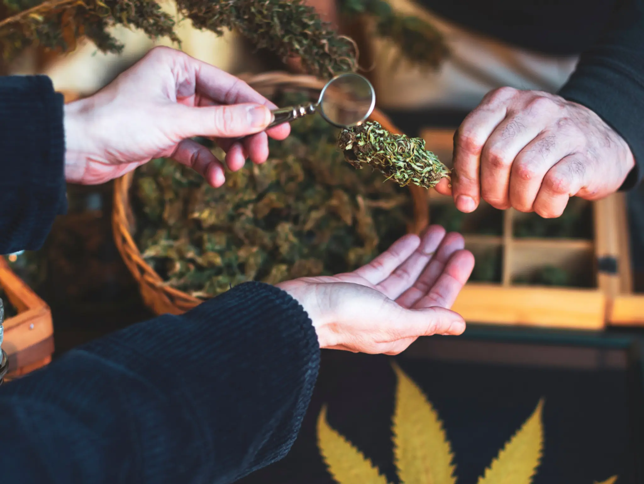 Craft Cannabis: The Artisan Approach to Elevated Enjoyment