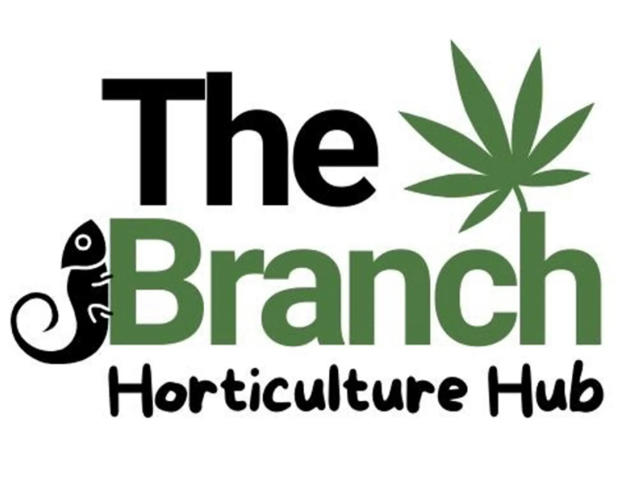 The Branch: Cultivating a Community and Changing the Narrative