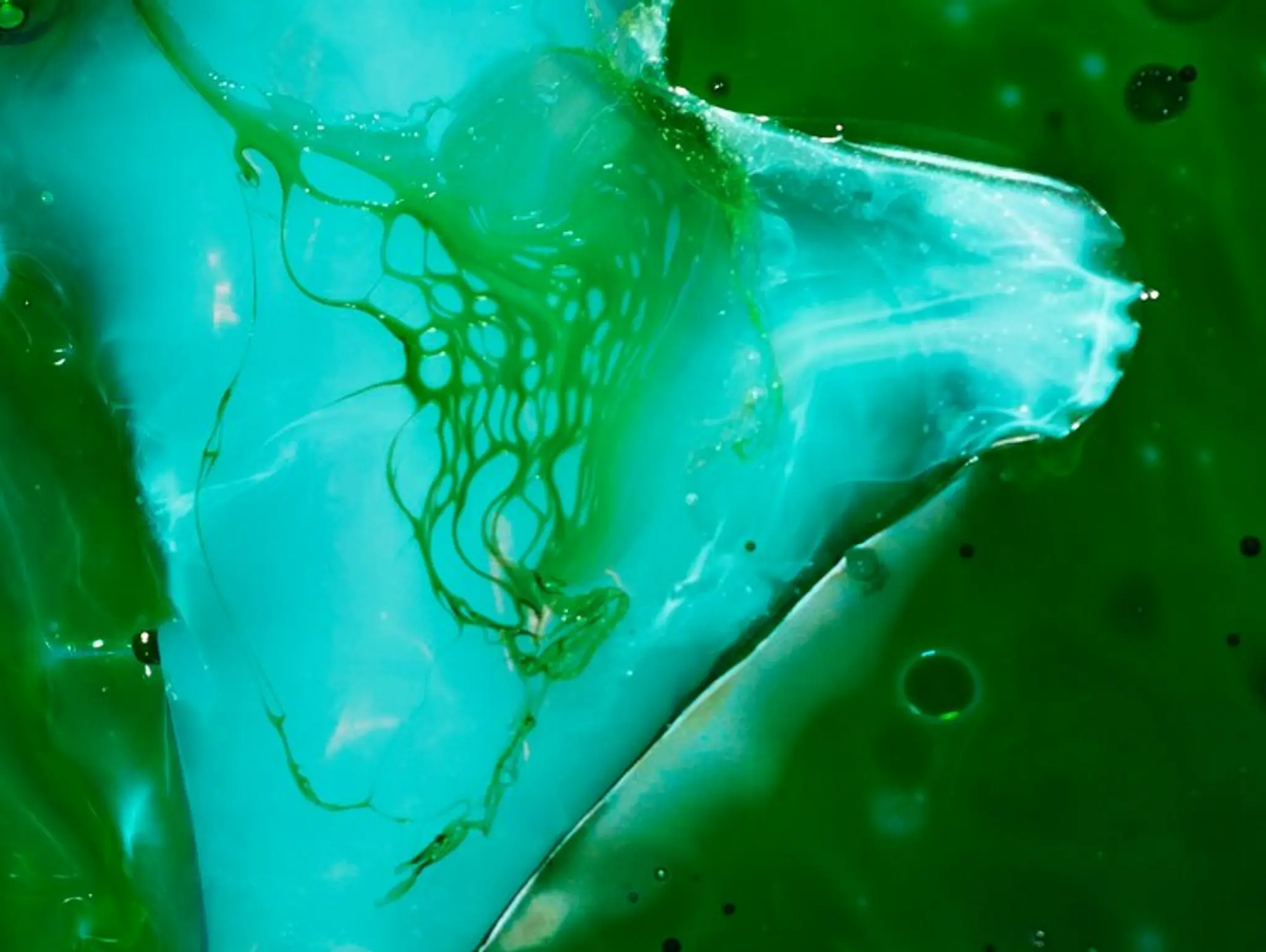 A Glimpse of Green