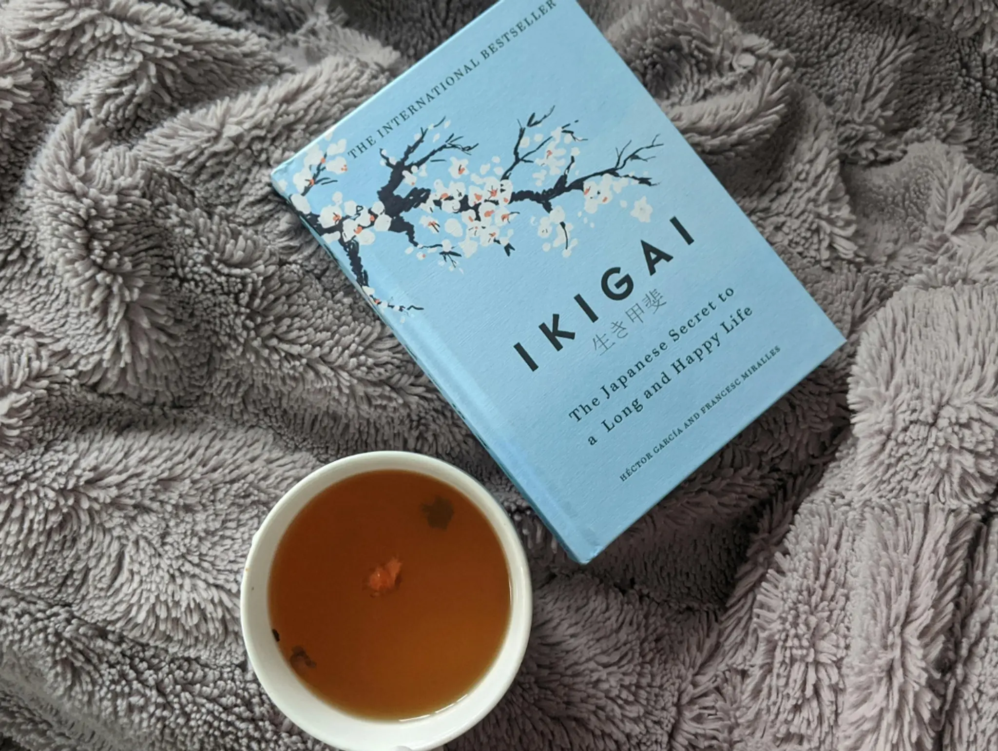 Finding Joy in Taking it Slow