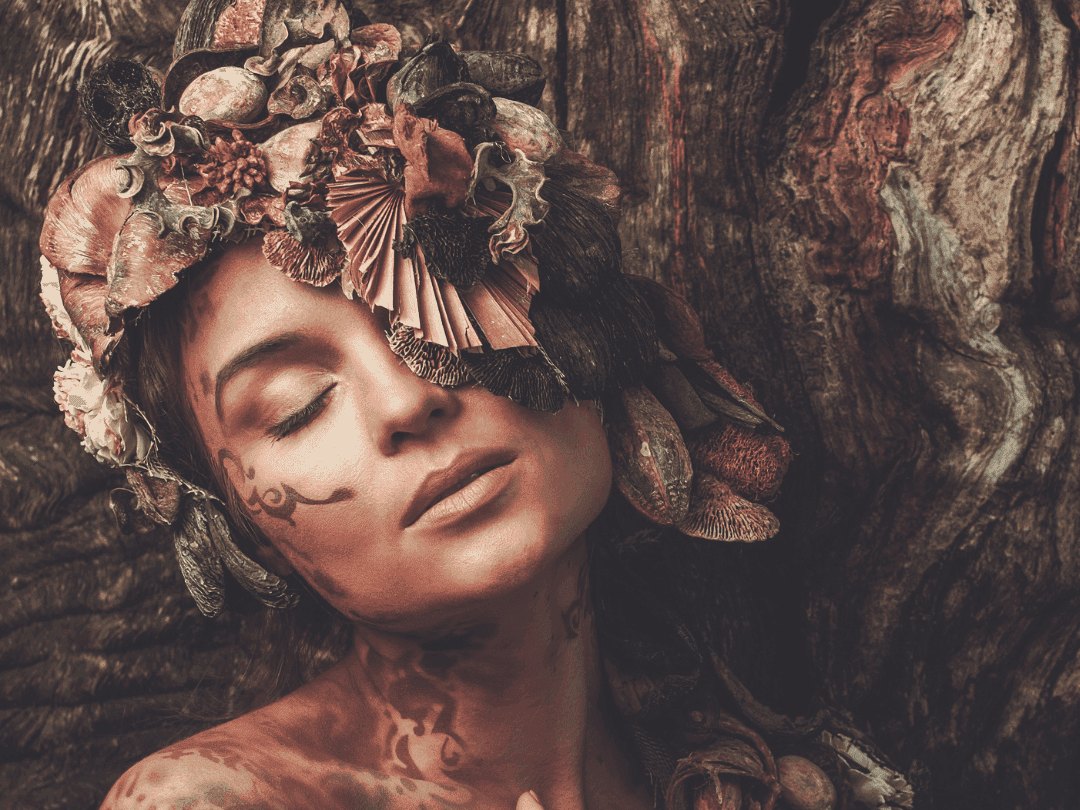 The Magic of Shrooms