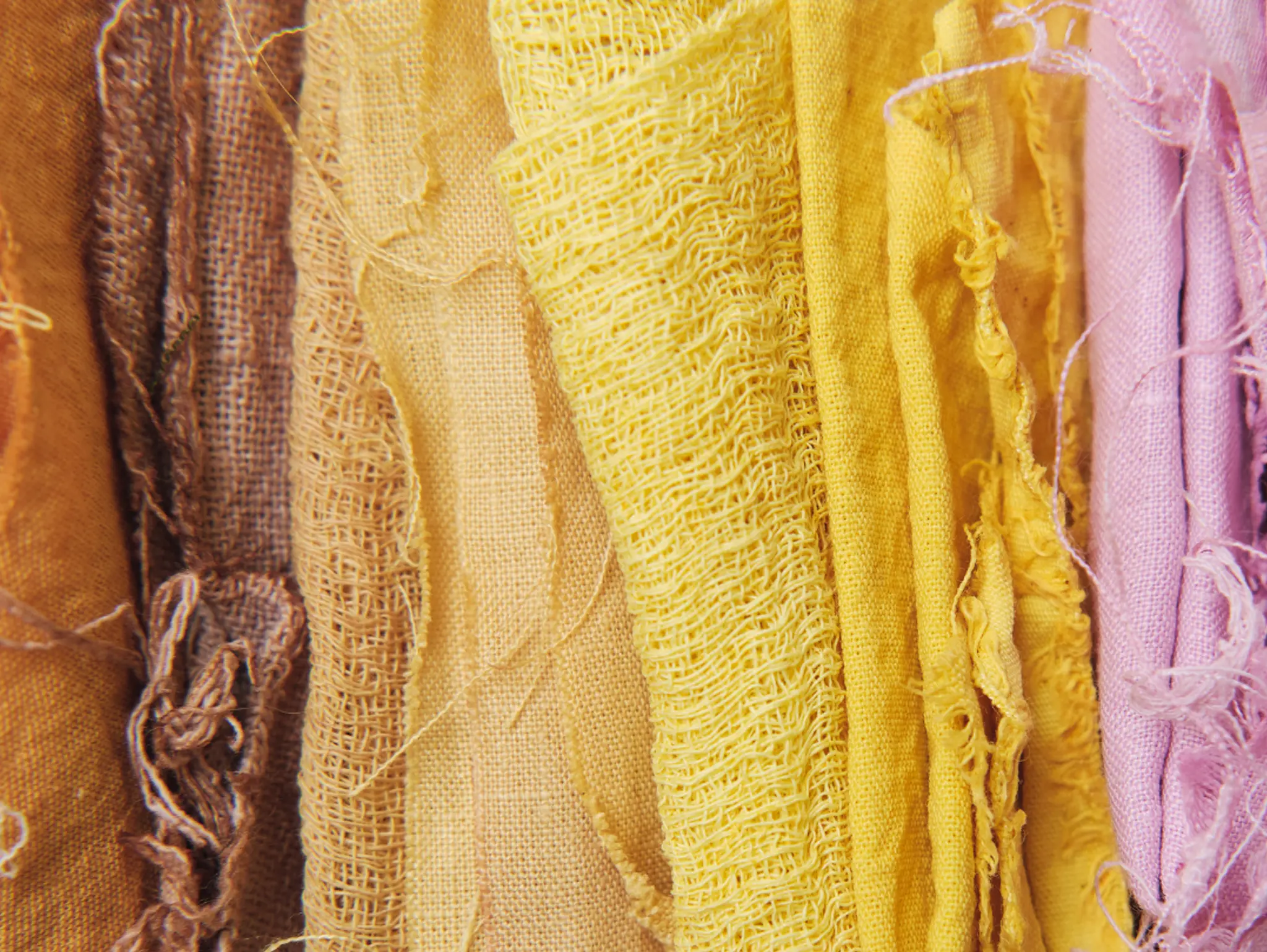 Using Hemp to Tackle Plastic Pollution