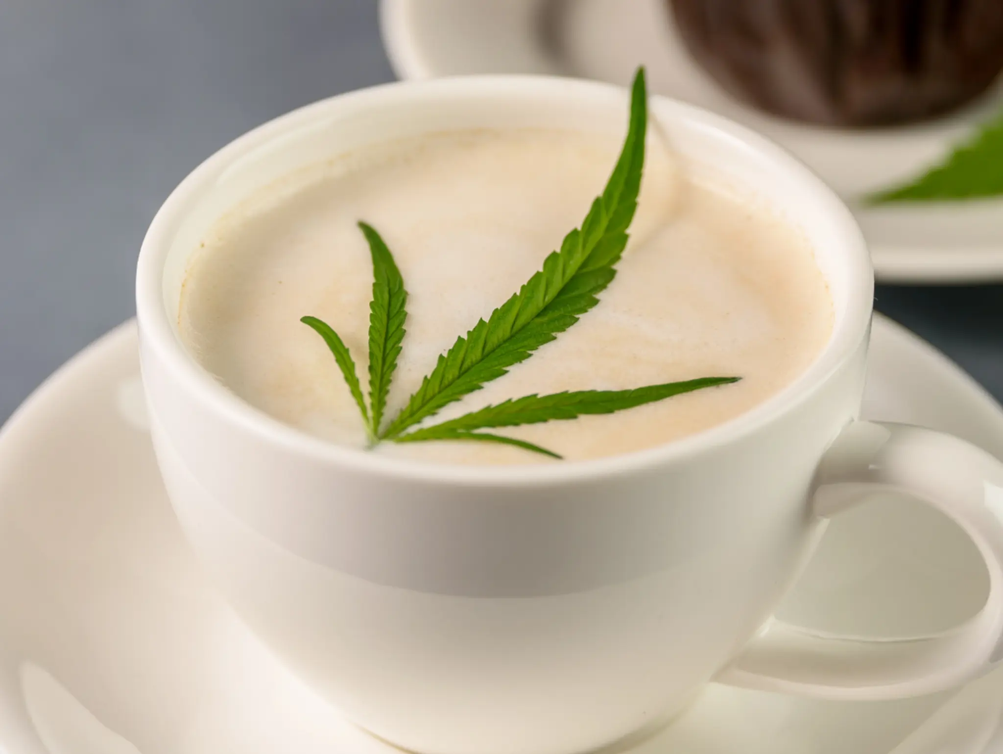 Pouring Perspectives