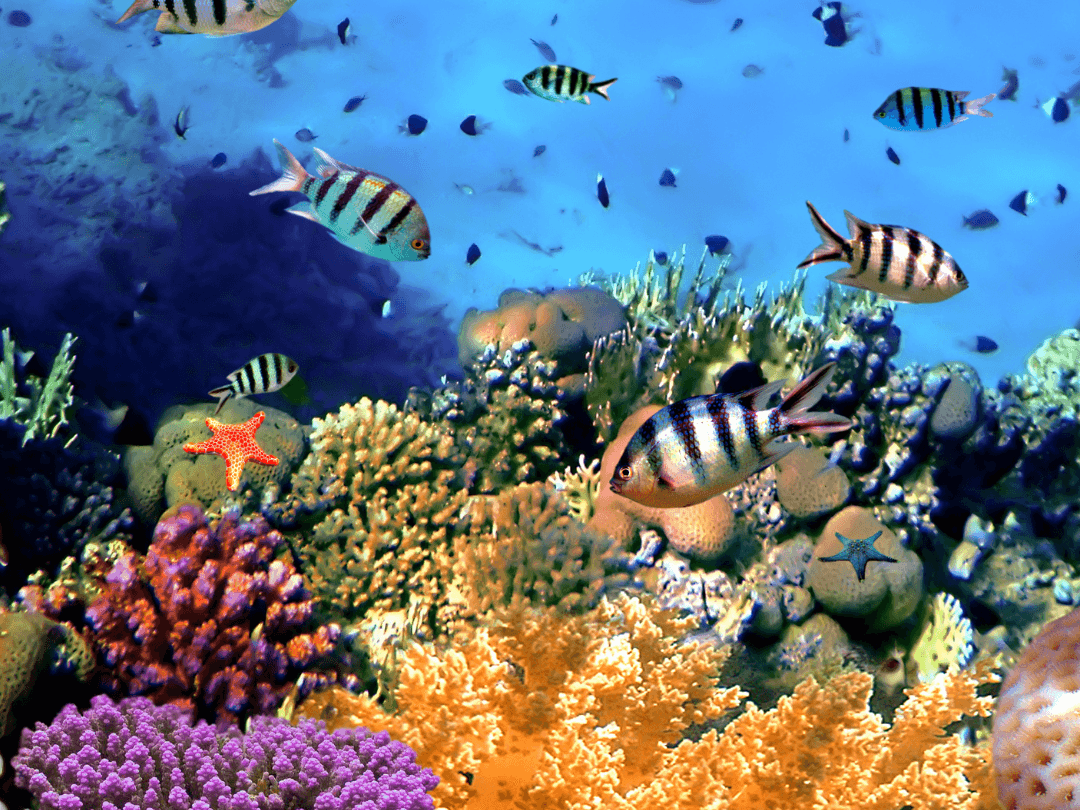 Exploring the Depths