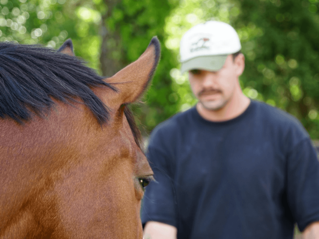 Equine Assisted Therapy's Past, Present and Future
