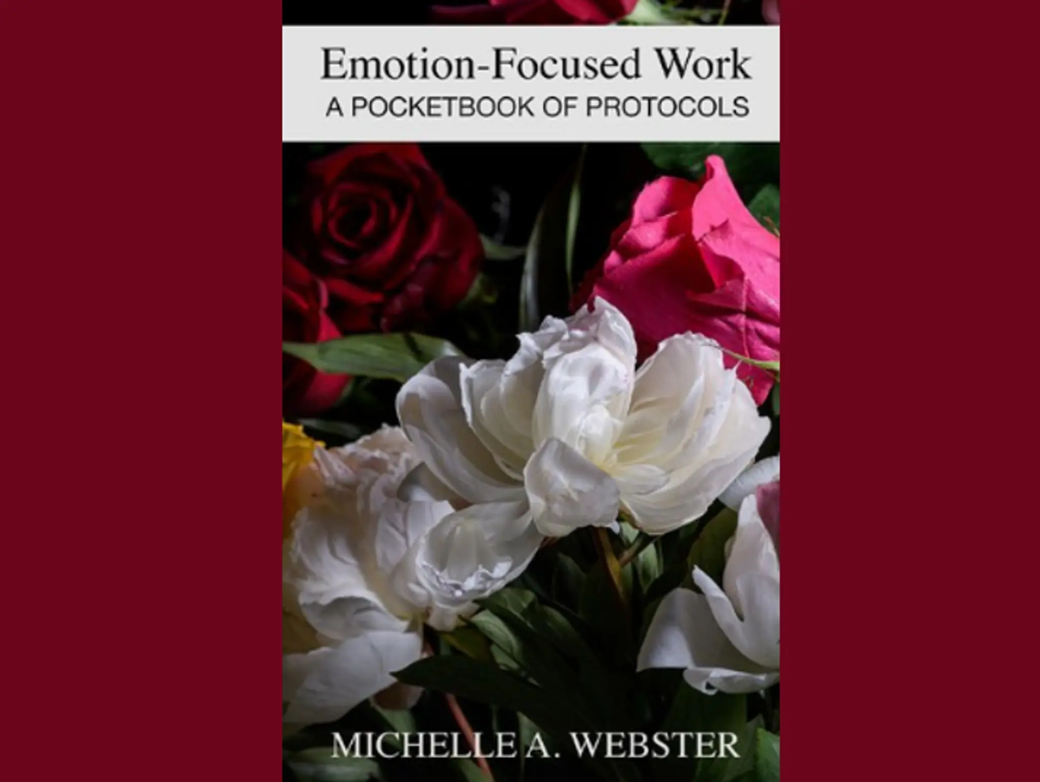 Book Review: Emotion-focused Work, Pocketbook of protocols, Michelle A. Webster