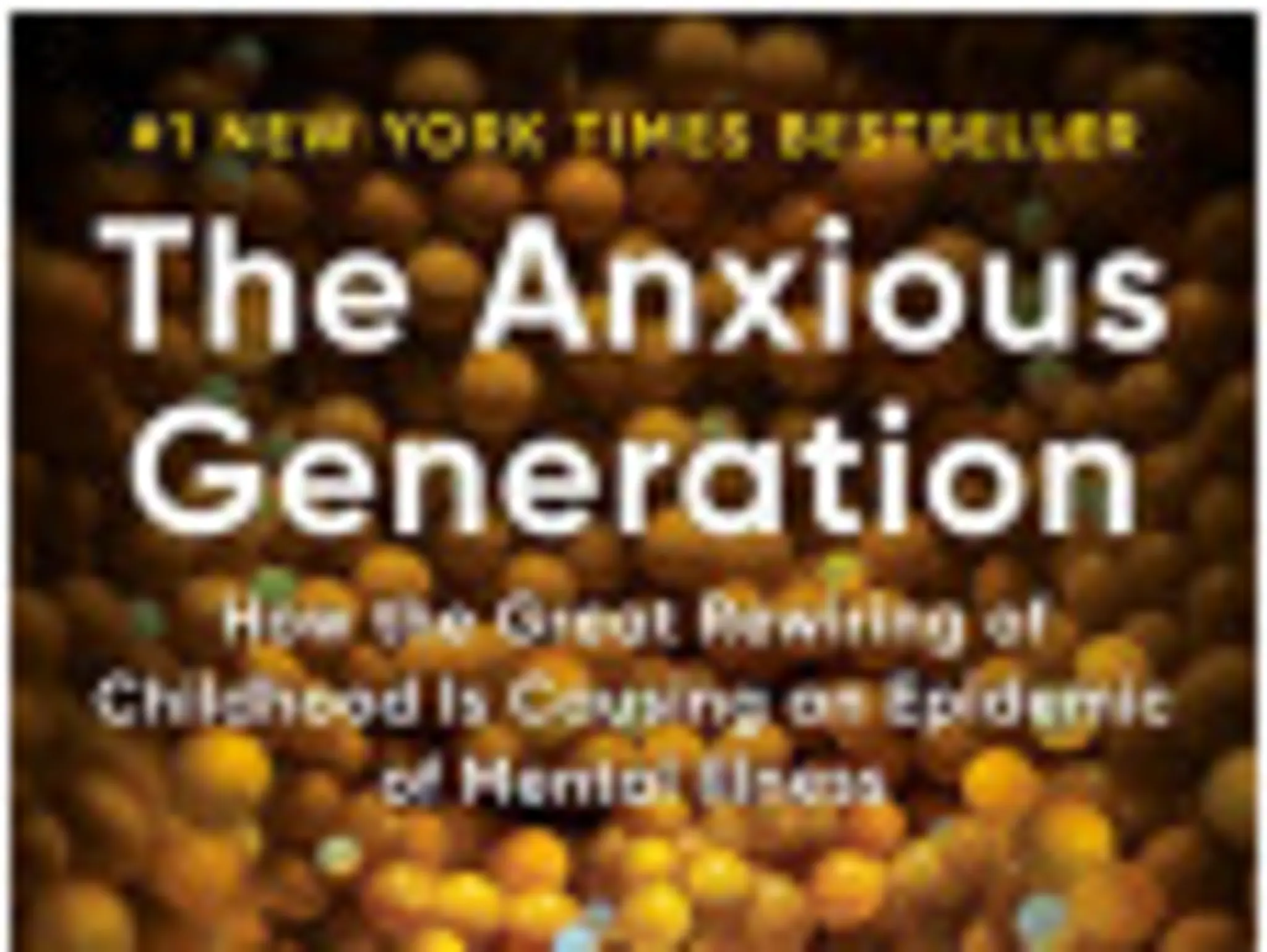 Copy of Book Review: The Anxious Generation