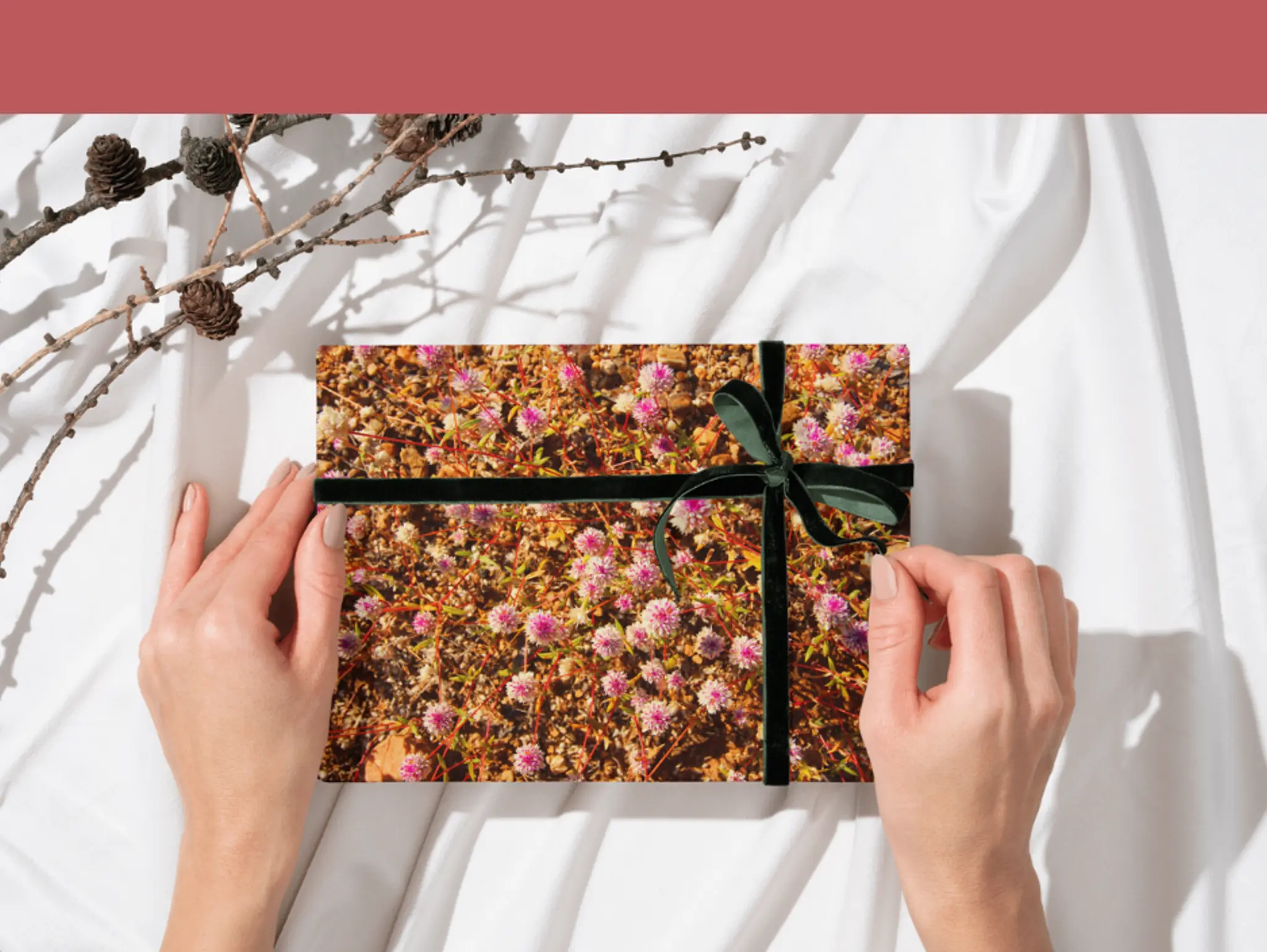 The Gifts We Give Ourselves: A Story of Healing and Professional Transformation