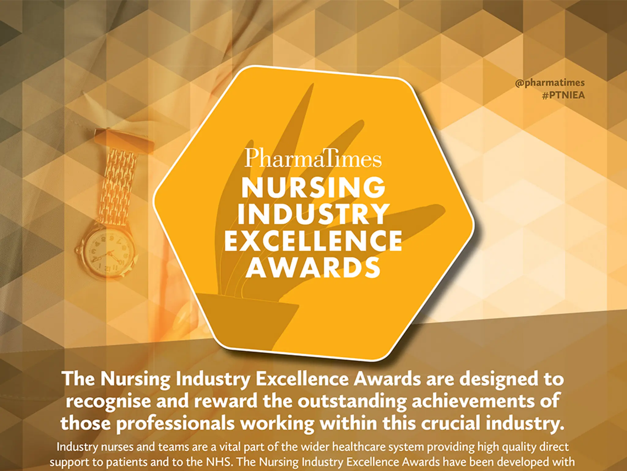 NURSING INDUSTRY EXCELLENCE AWARDS 2024