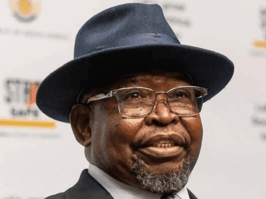 13. Kuzoba wumqansa kuGodongwana ukungenyuswa kweVAT