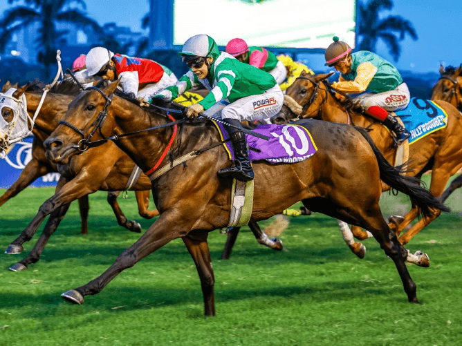 16.2 3 May Hollywoodbets Greyville