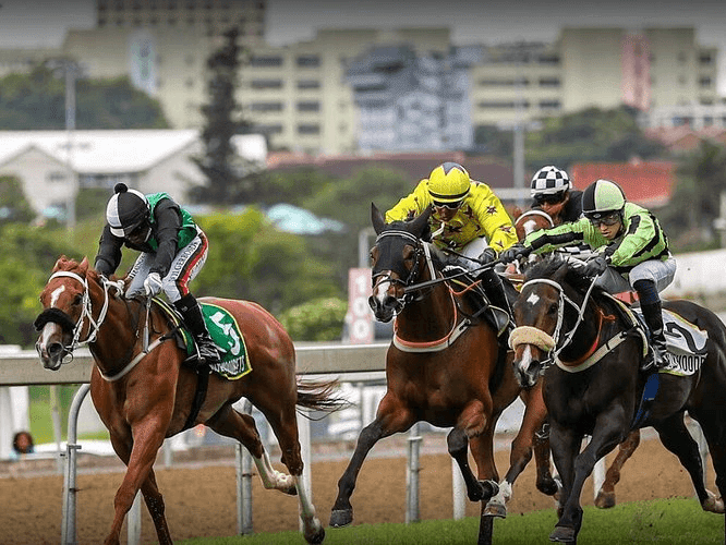 18. Amahhashi - Imijaho yaseGreyville