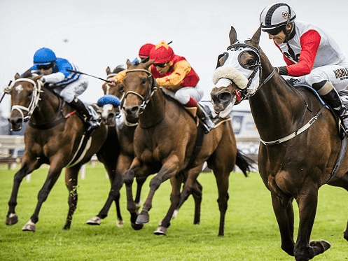 25. Amahhashi - Greyville - 28 November 2025