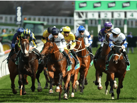 21. Amahhashi - Fairview 09 January 2026