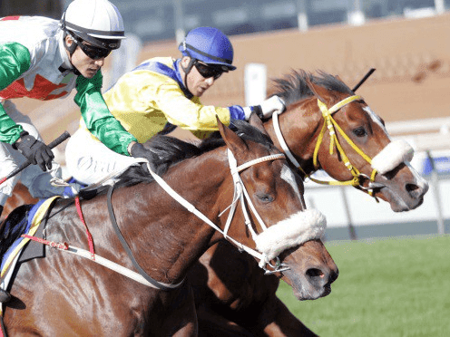 26. Amahhashi - Kenilworth - 18 April 2026