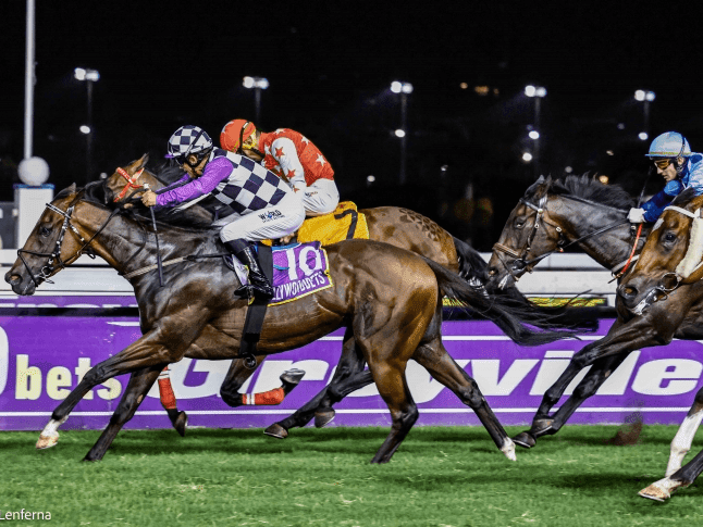 16.1 11 April Fairview 20250411