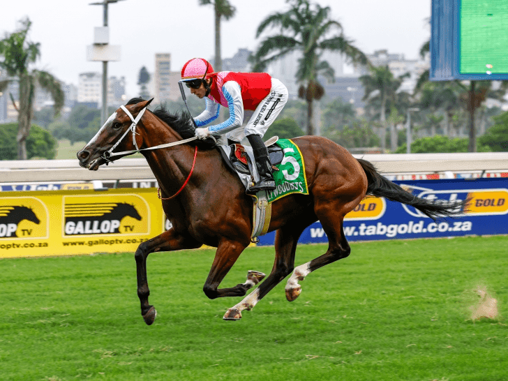 16.3 Turffontein 11 May 2025