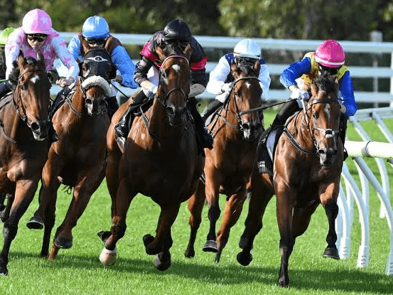 23. Amahhashi - Greyville - 11 September 2026 