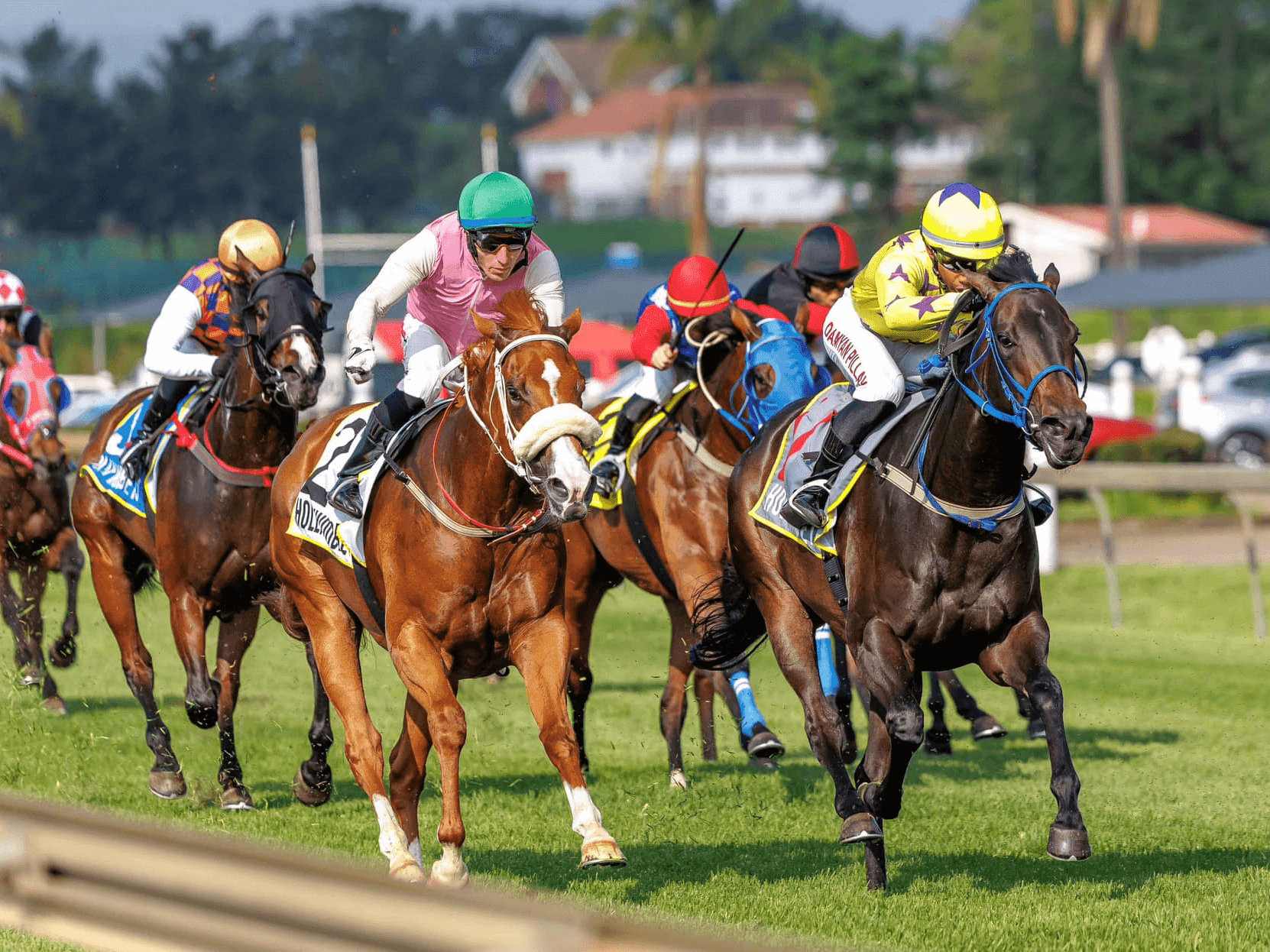 24. Amahhashi - Kenilworth - 16-08-25