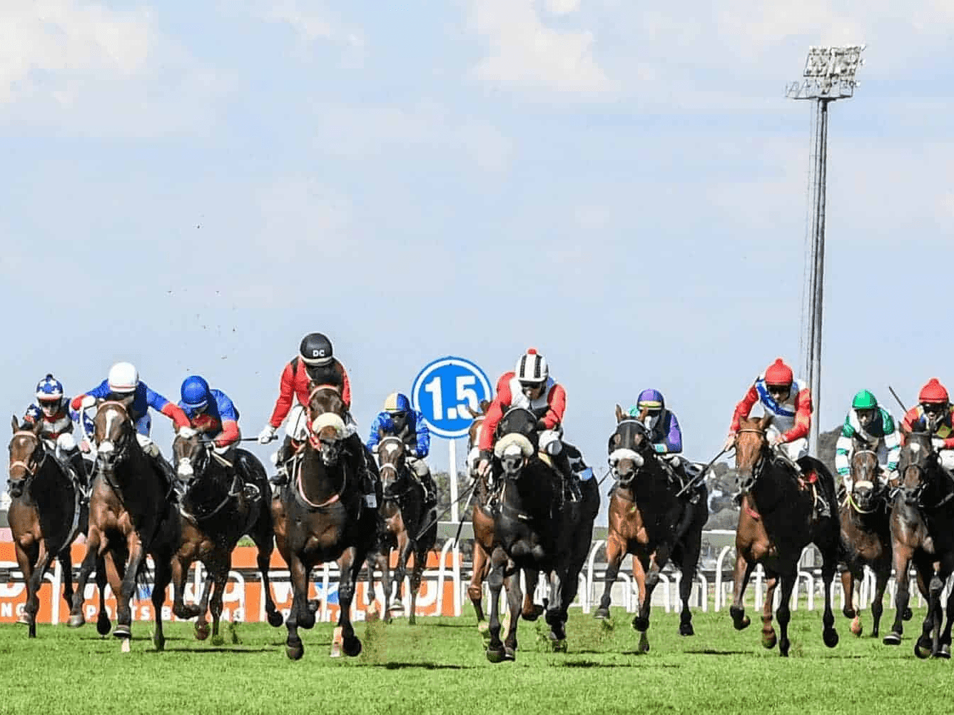 23. Amahhashi - Durbanville - 17 October 2026