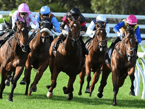 23. Amahhashi - Greyville - 07 August 2026