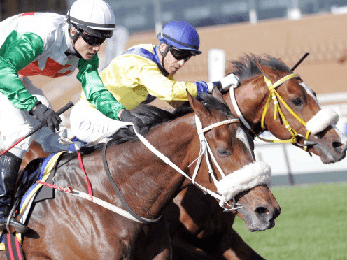 26. Amahhashi - Scottsville - 24-08-22