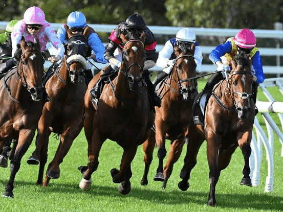 25. Amahhashi - Greyville - 04 September 2026