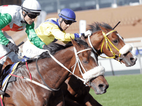 24. Amahhashi - Turffontein - 14 June 2026